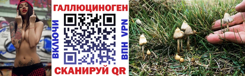 Псилоцибиновые грибы мухоморы  Купить  Бахчисарай 